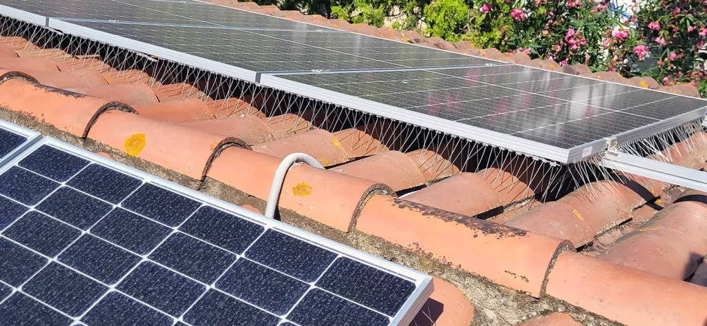 Detalle de paneles solares con protección antiaves en cubierta inclinada.