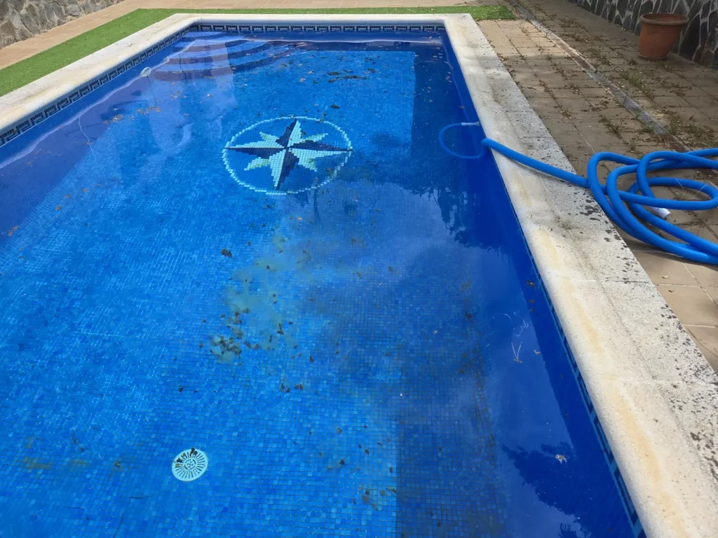 Piscina con hojas durante la limpieza.